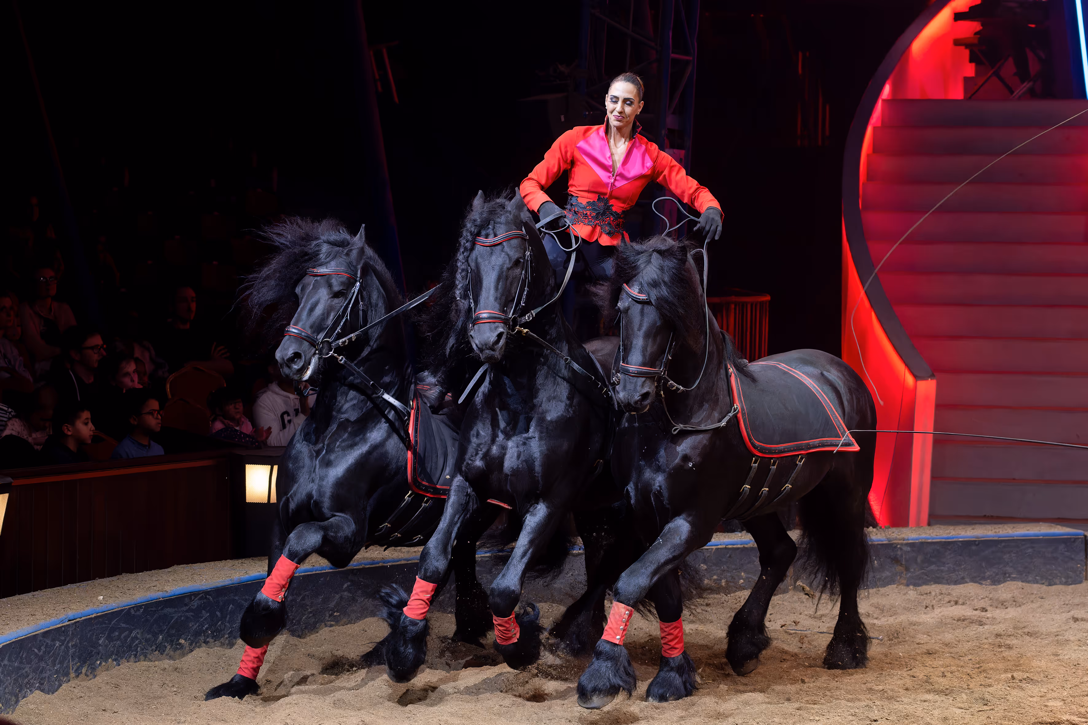 chevaux Alexis Gruss