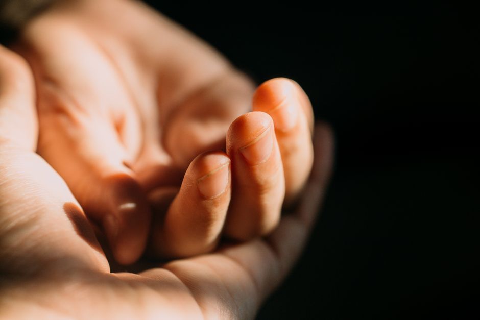 Close-up of a gentle hand basking in soft sunlight, symbolizing warmth and care.