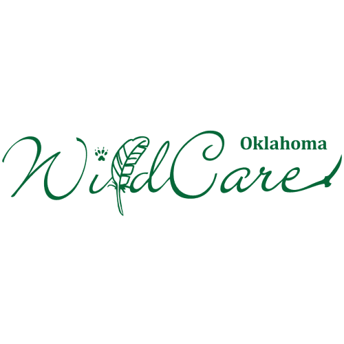Wildcare logo