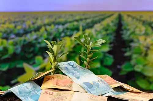 O Crédito Rural é fundamental para o desenvolvimento do agronegócio brasileiro