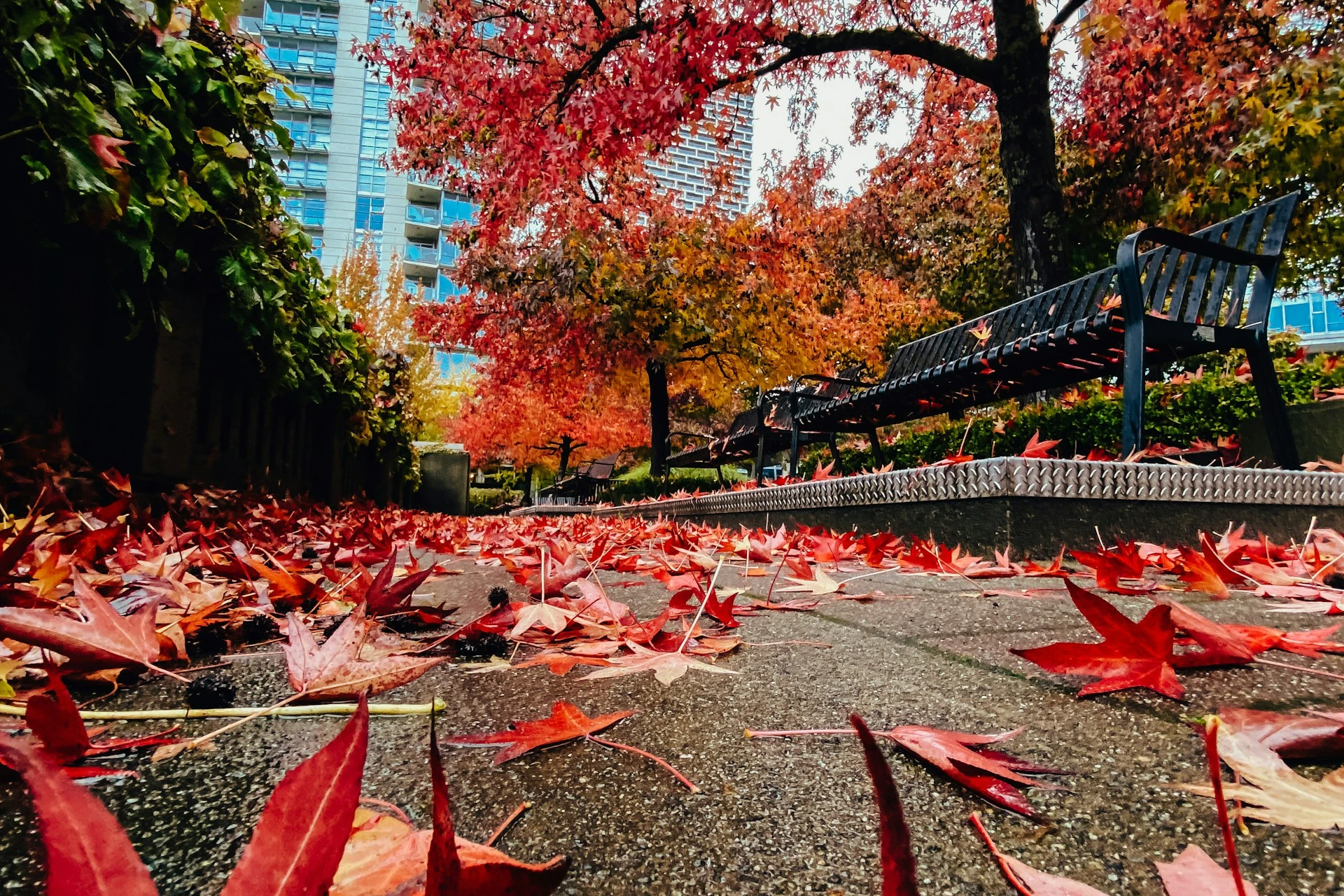 Visiting BC in the Fall