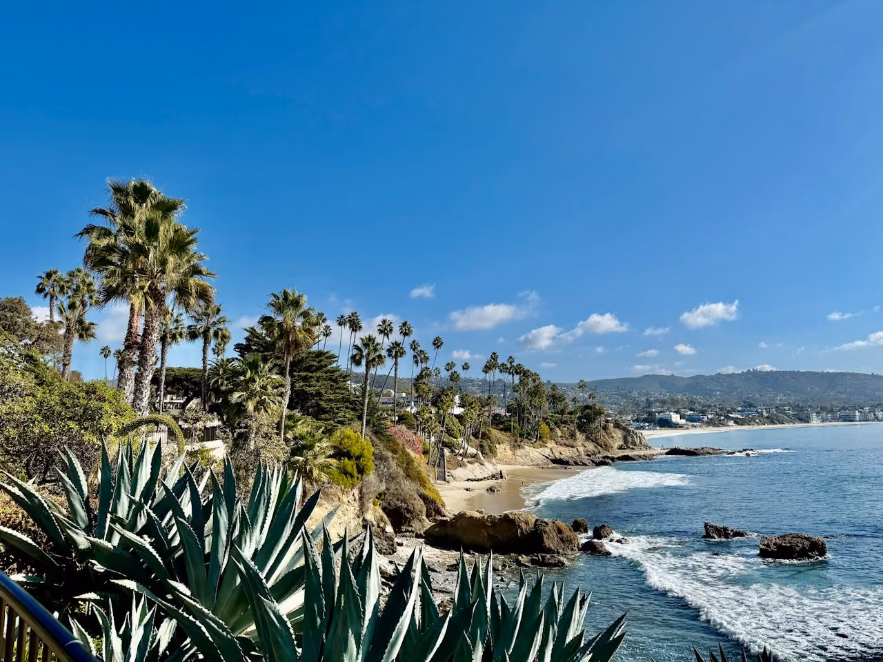 Ocean Ranch landscape