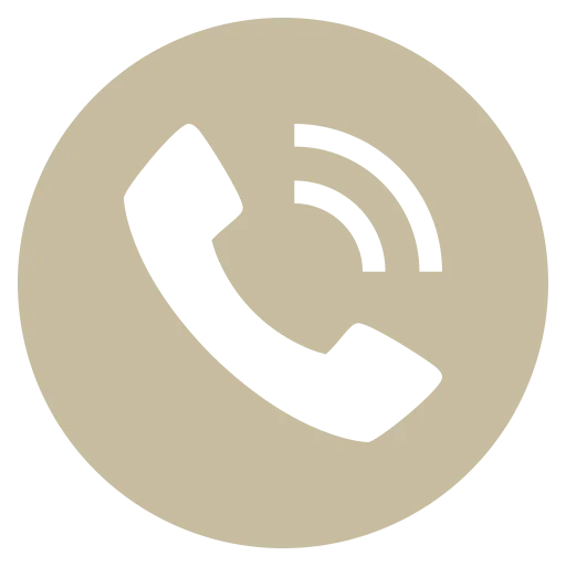 Icon of a telephone handset with sound waves inside a beige circle, representing a phone call.
