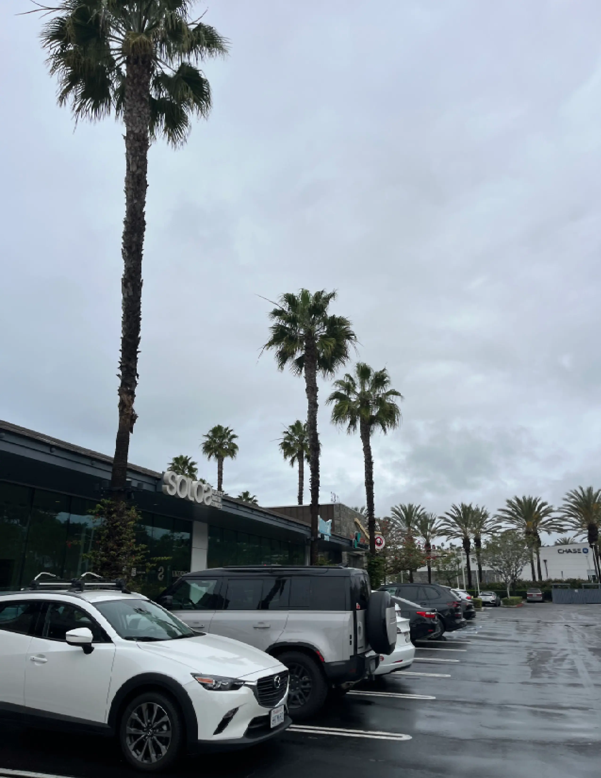 Parking lot with several cars and tall palm trees under a cloudy sky near storefronts.