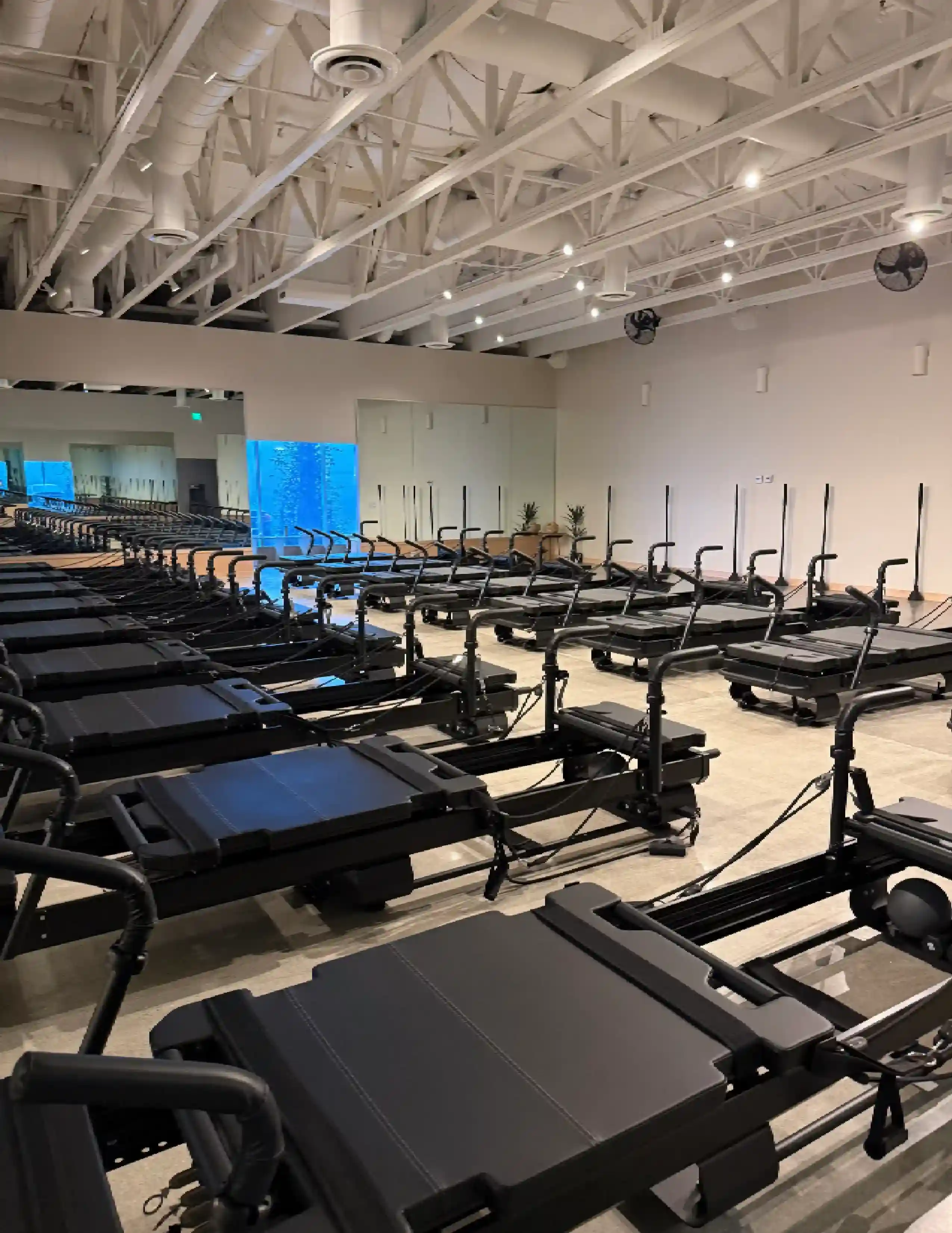 Room with multiple black Pilates reformer machines arranged in rows on a light-colored floor.