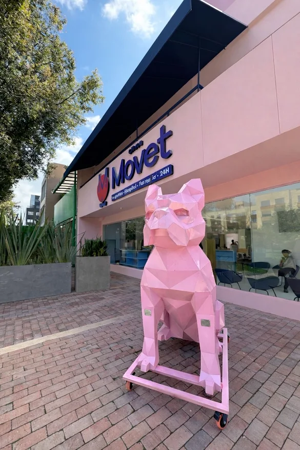 Clínica Veterinaria Movet Colina Campestre