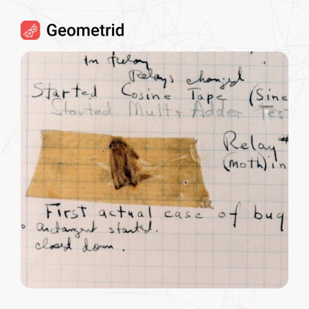 Why We Named Ourselves After a Moth