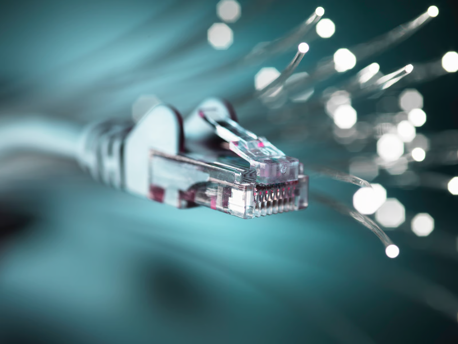 Disconnecting from the internet is the first immediate step to take after being affected by a ransomware attack
