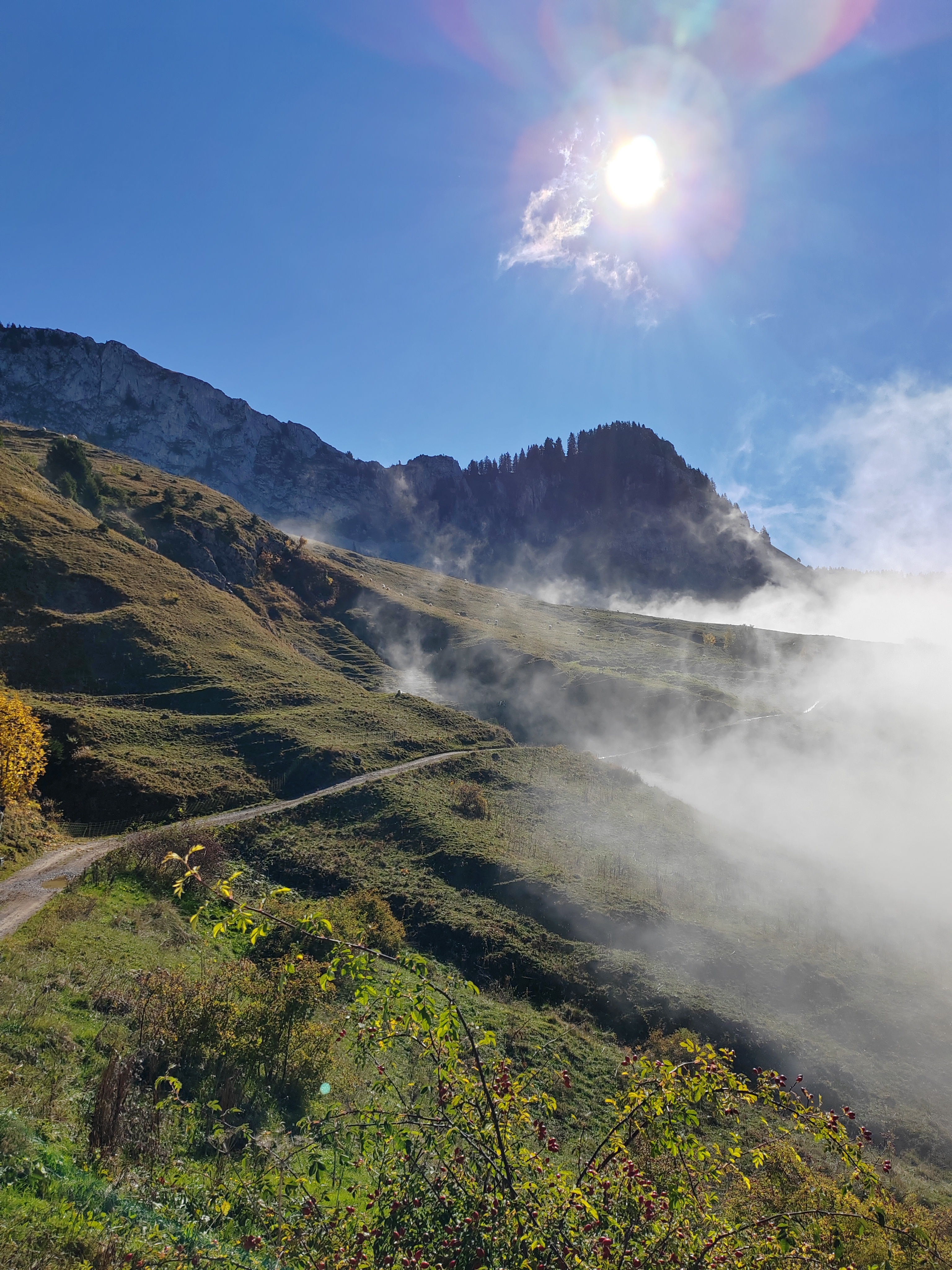Programme Ski-Santé Nordique-Forme