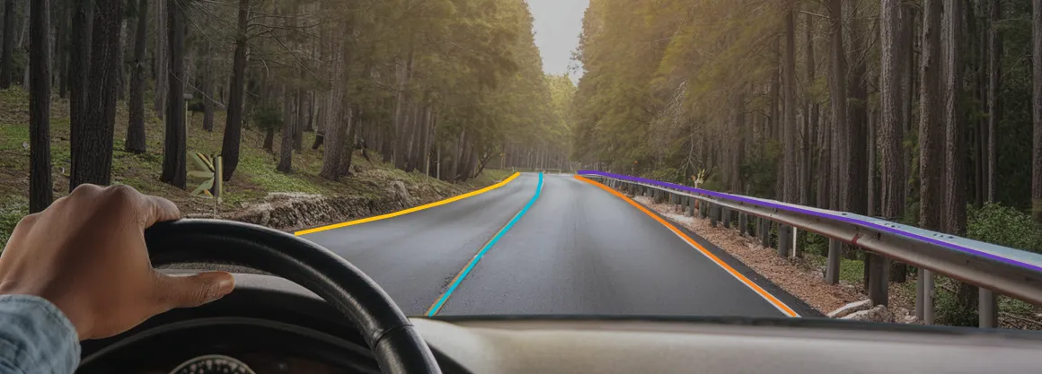 polyline annotation