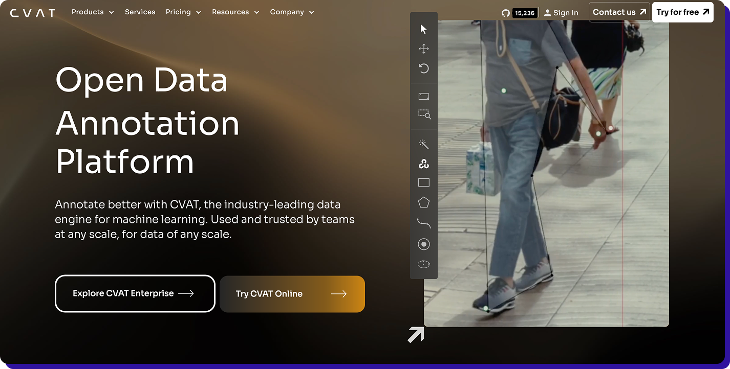 CVAT video annotation image