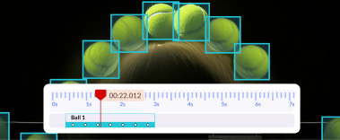 Semantic Segmentation