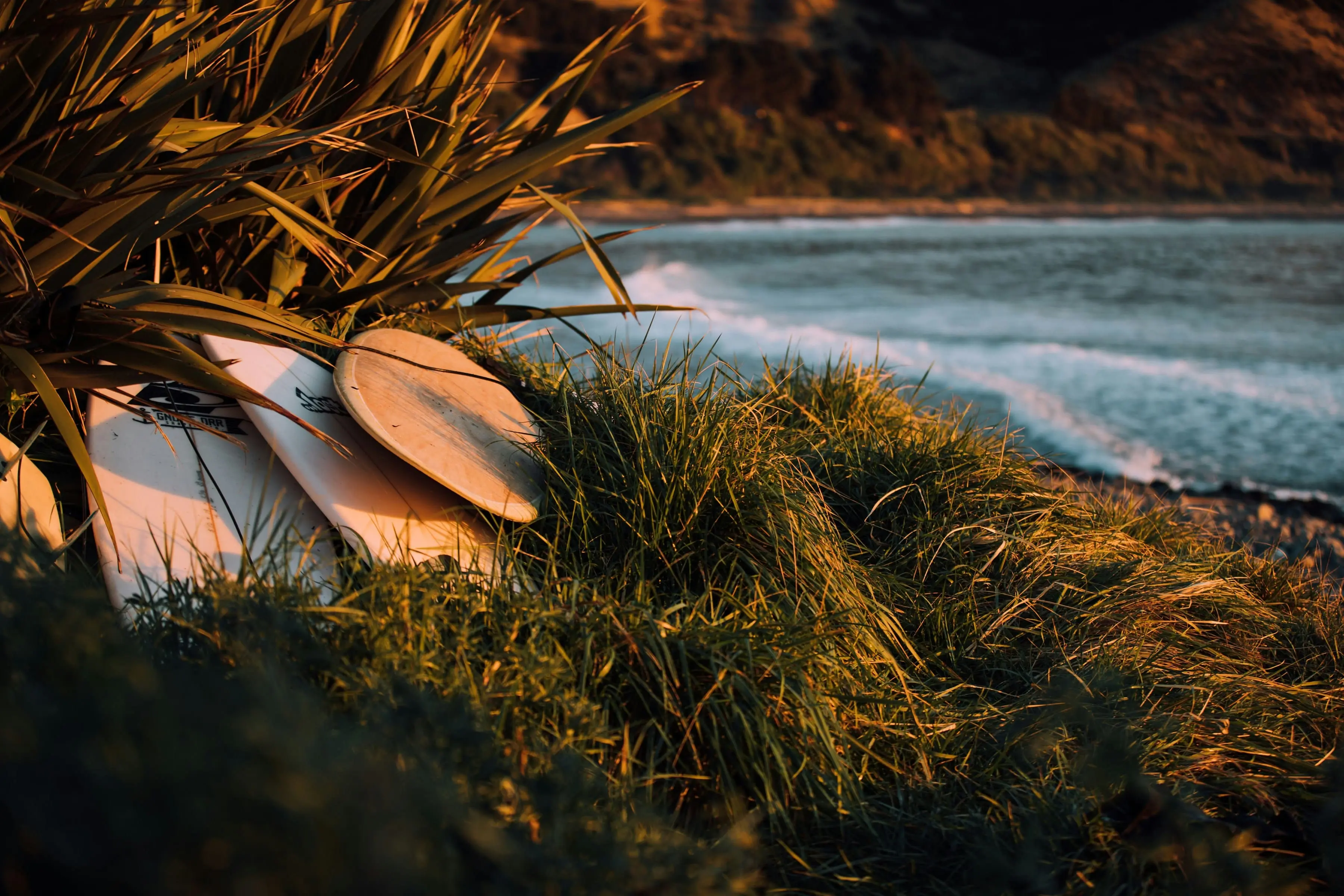 Surfboards near the ocean