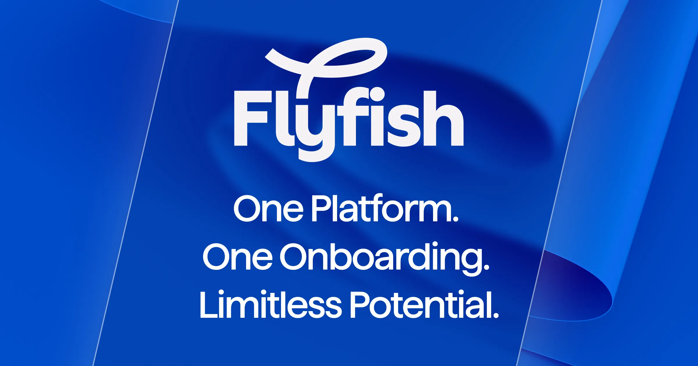 The ultimate solution for global businesses | Flyfish