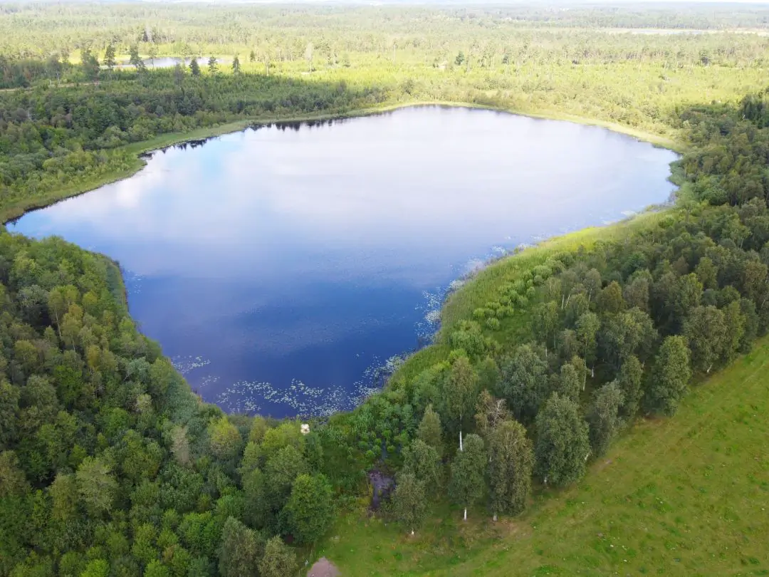 Skogssjö och grön natur i Vara kommun sedd från ovan.