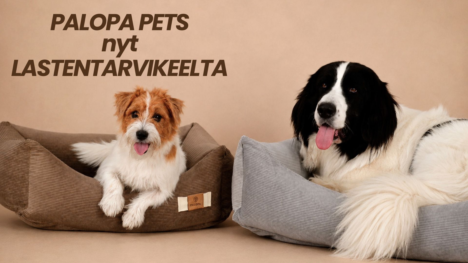 Kaksi koiraa makoilevat omilla koirapedeillään. Vasemmalla pieni koira ja oikealla isompi koira. Kuvassa lukee PALOPA PETS nyt Lastentarvikkeelta.