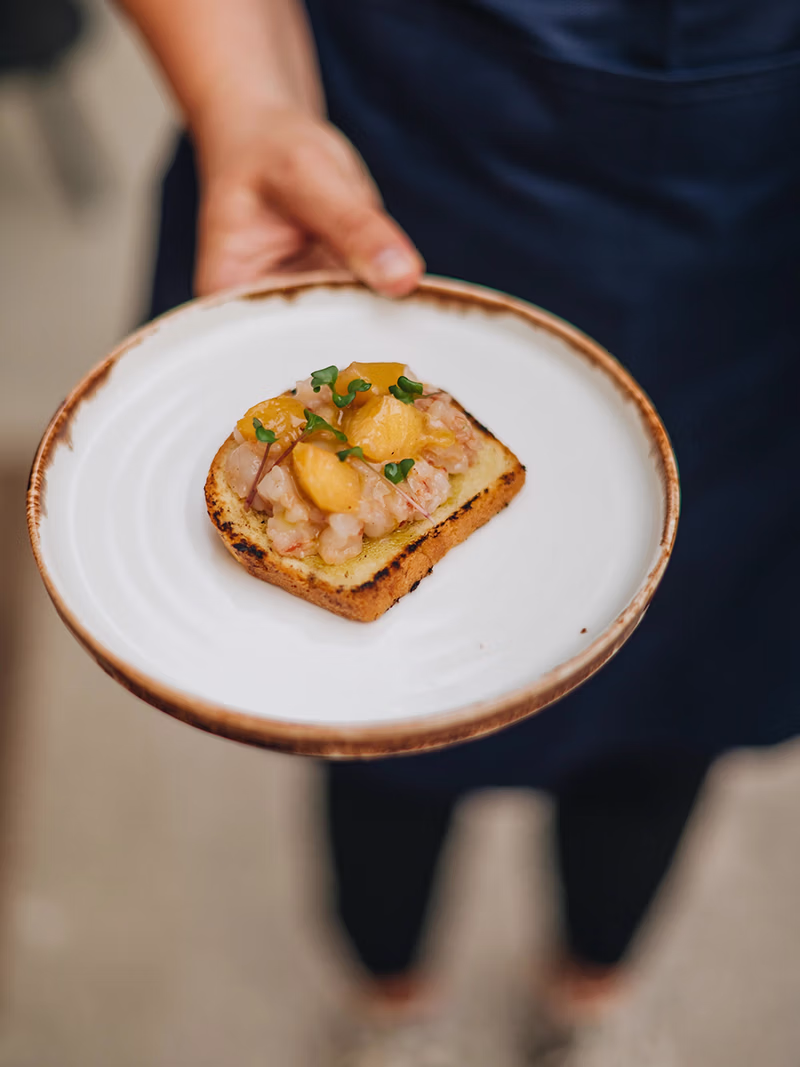 A beautifully garnished plate of Istrian seafood salad