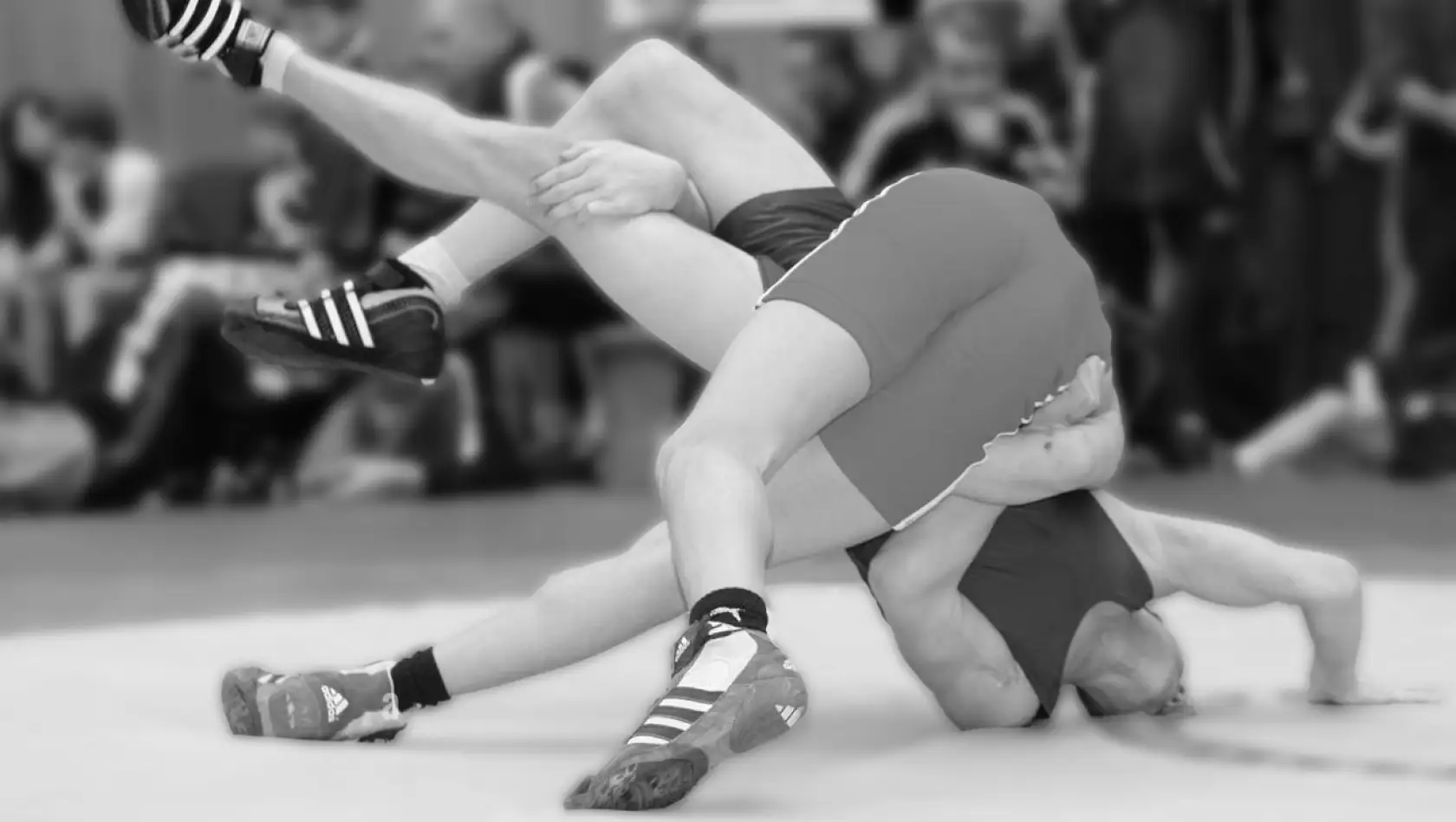 EB-2 NIW Approval for a Self-Employed Wrestling Coach of Exceptional Ability