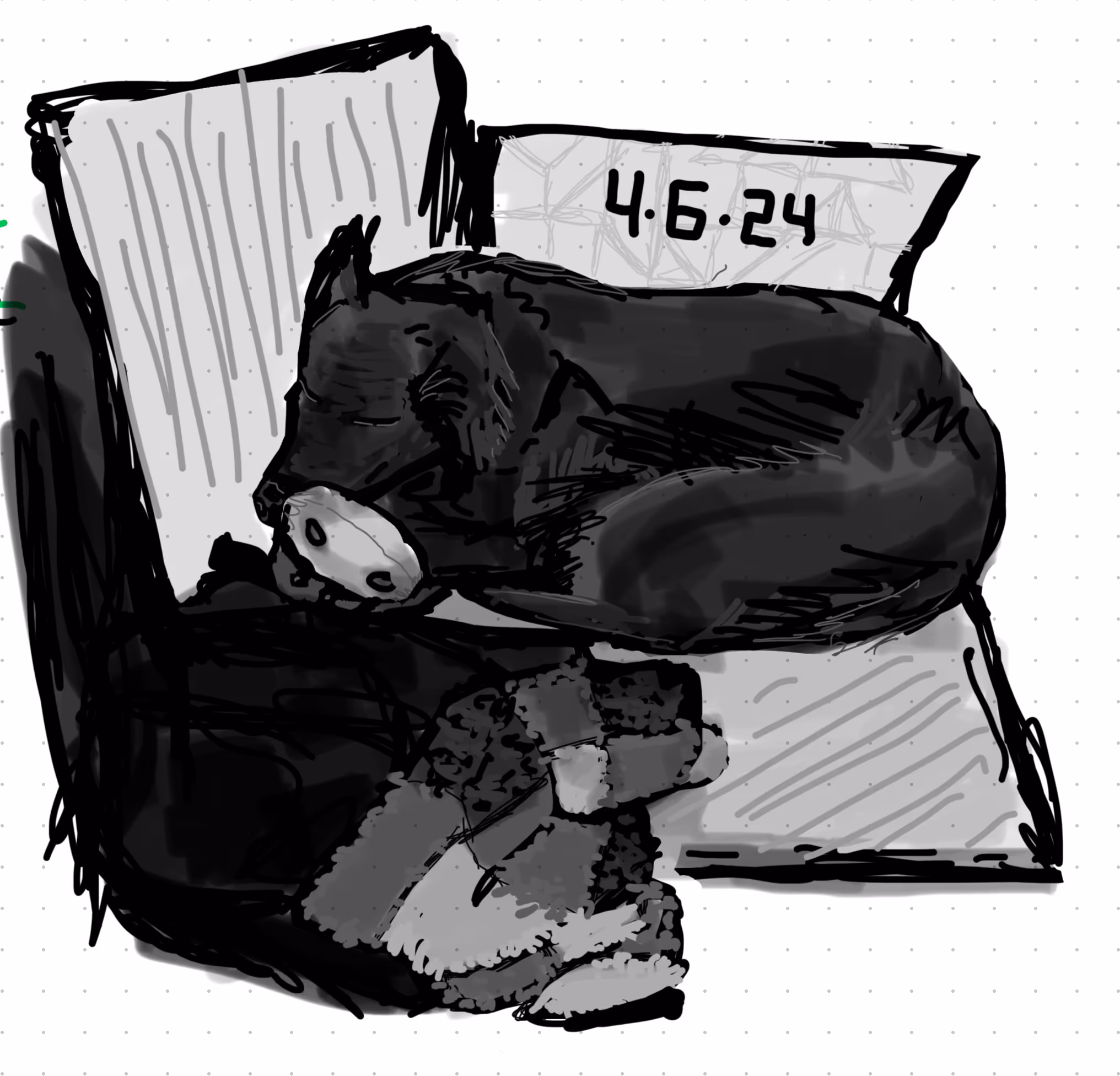 Digital sketch of my border collie lab mix laying on the couch with a moose toy and blanket. Drawn on 4-6-24