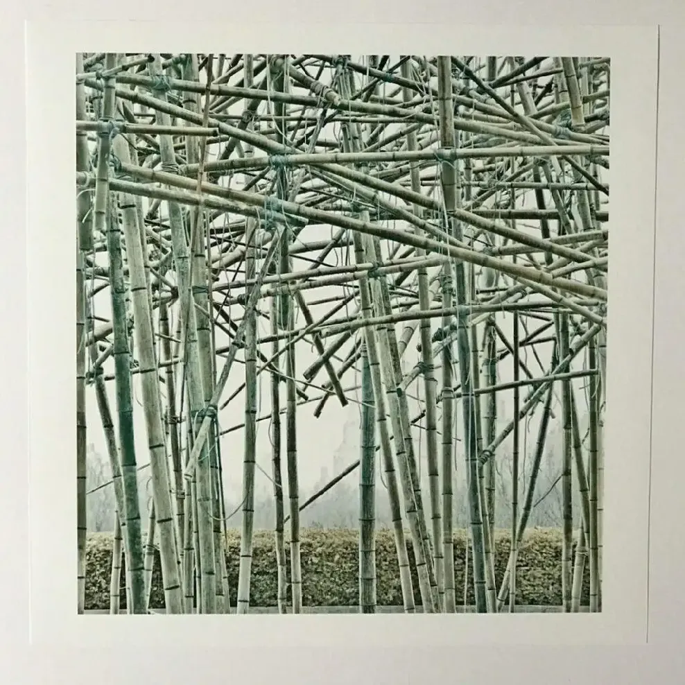 Big Bambu
