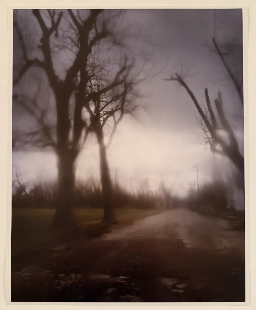 Silver Meadows Limited Edition Series Print 5