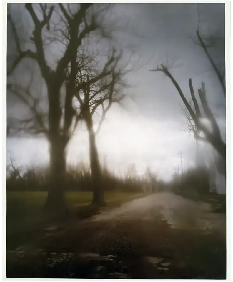 Silver Meadows Limited Edition Series Print 5