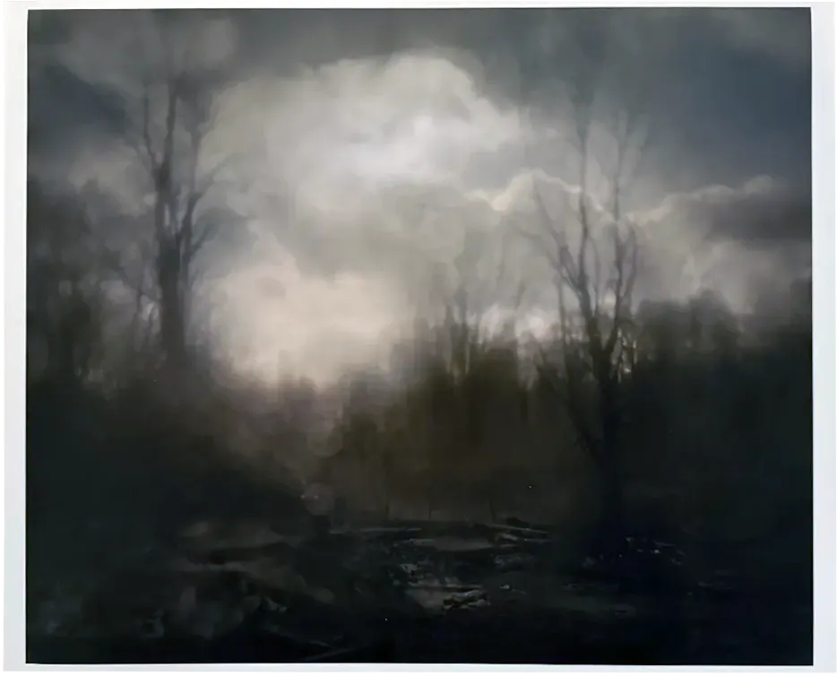 Silver Meadows Limited Edition Series Print 3