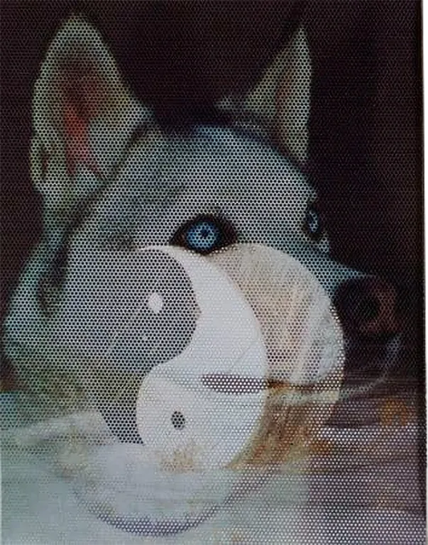 Sender Deluxe Edition