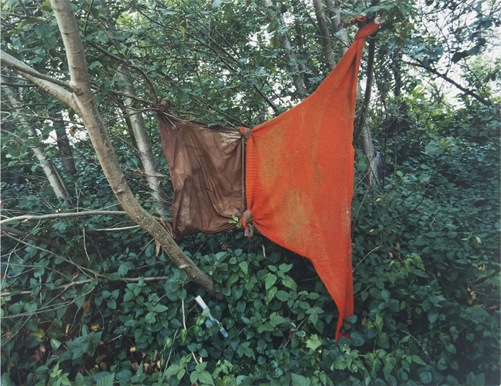 Untitled- 2004 (#13 Red sweater tied to brown shirt)