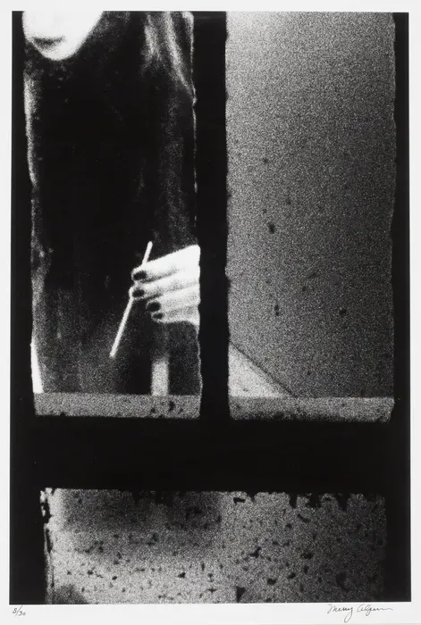 Merry Alpern, Dirty Windows #9