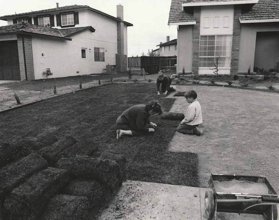 I bought the lawn in 6-foot rolls, 1972