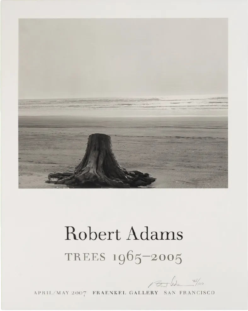 Trees 1965-2005, Fraenkel Gallery Show, 2007