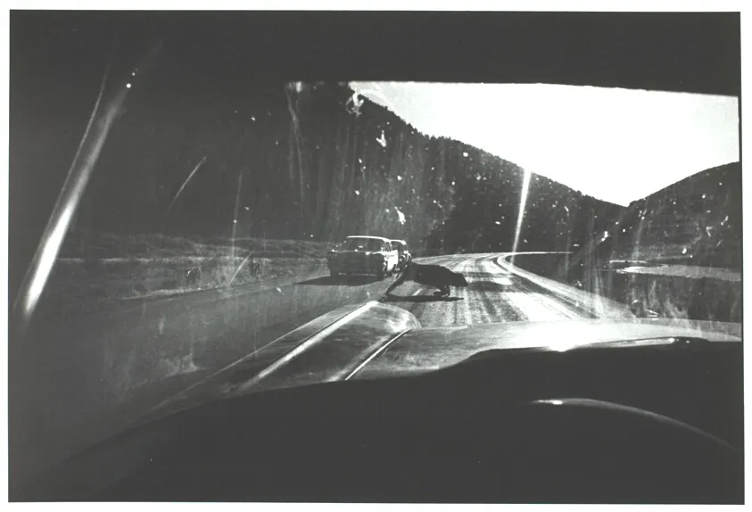 Utah 1964