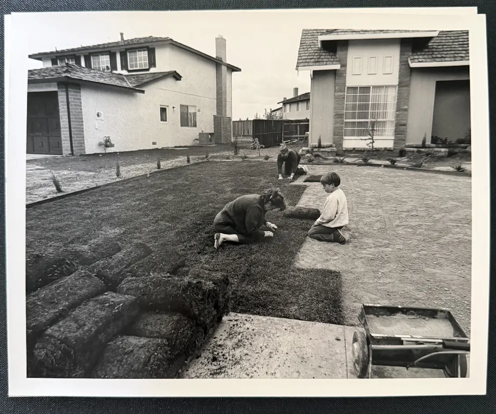 I bought the lawn in 6-foot rolls, 1972