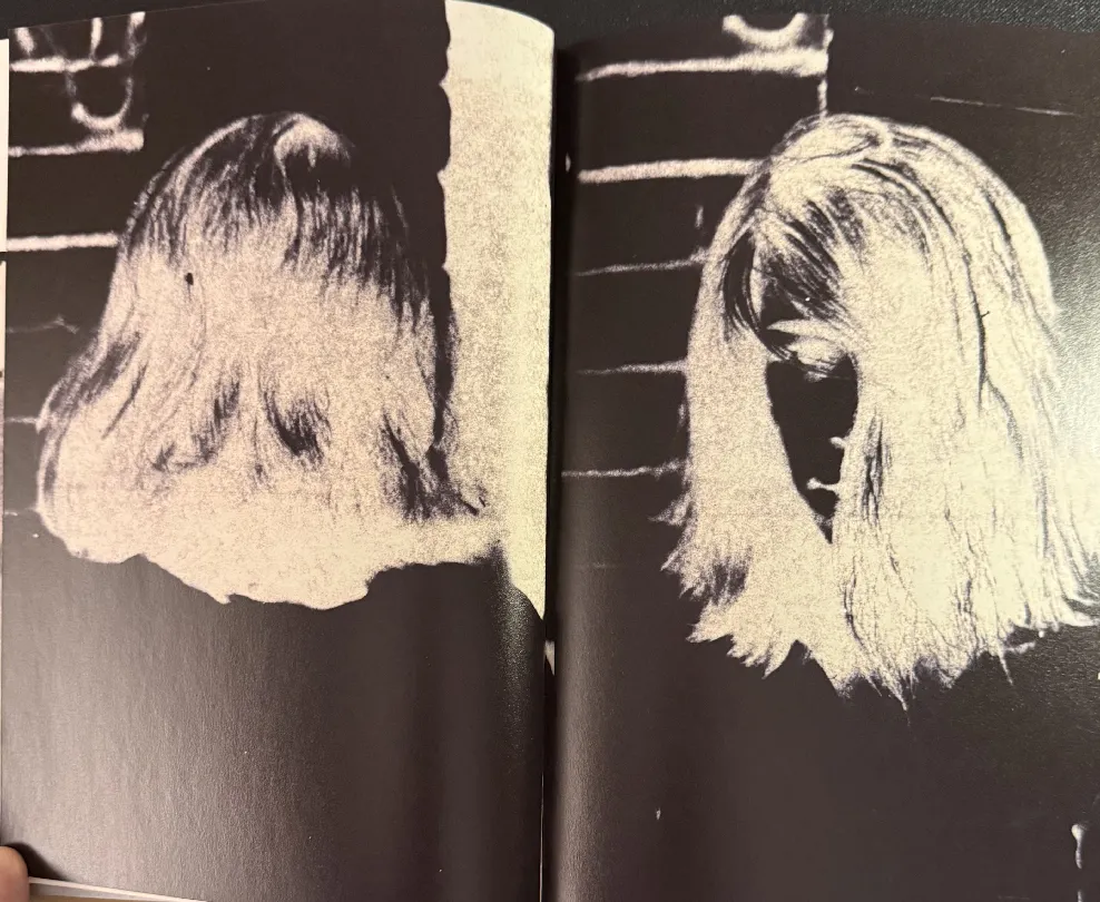 Long Hair Inverted