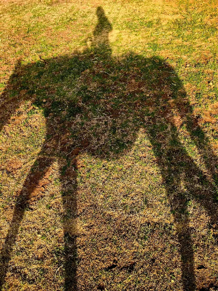 Stable, 2018