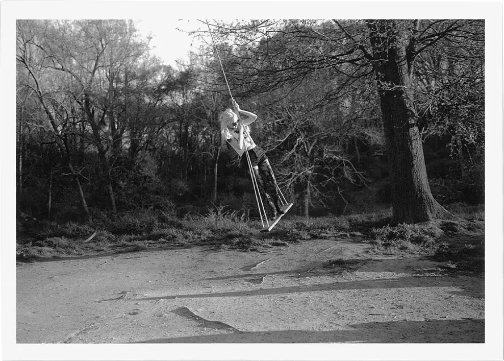 Bent Tree - NZ One Picture Book Two #32