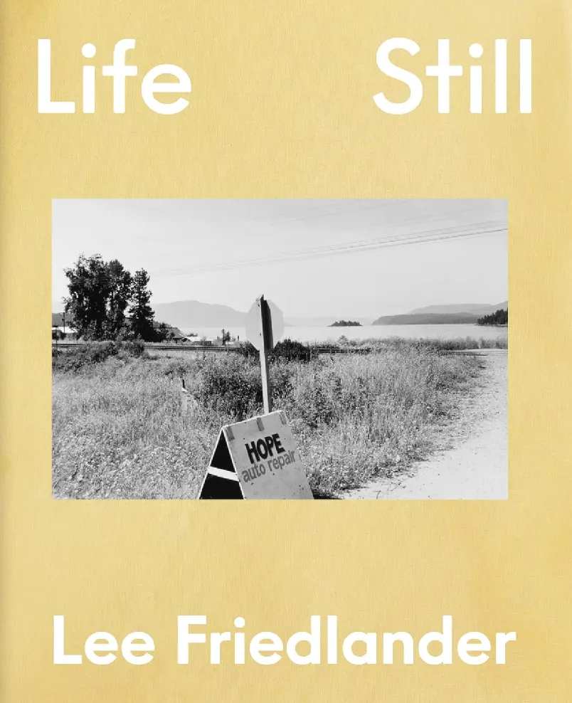 Sill Life