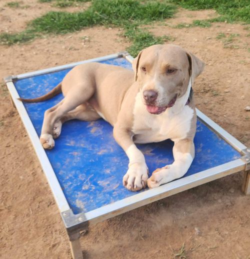 Living her best life