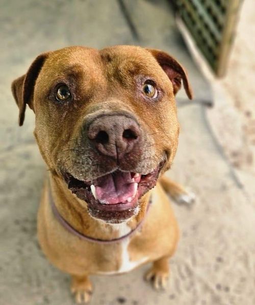 A perfect afternoon for a walk!