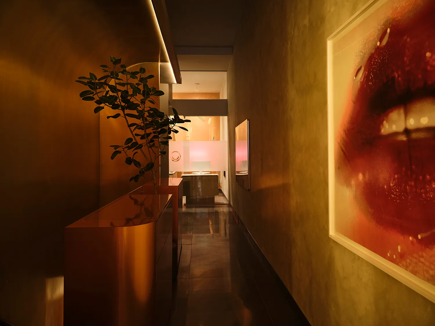 Bronze-clad corridor at Smile House Tribeca with a ficus tree and large lip artwork