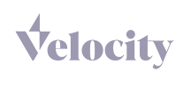 velocity logo