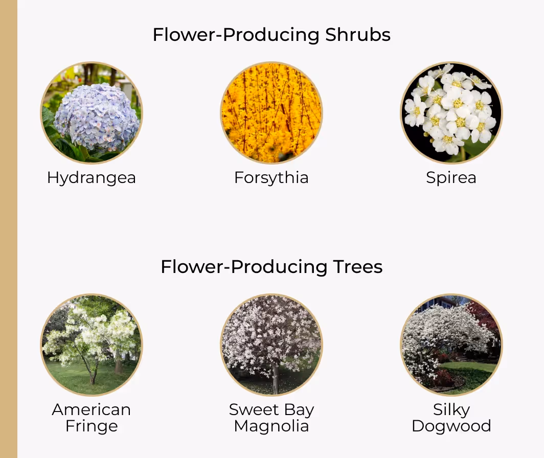 chart showing flower-producing shrubs and trees. Source: https://www.bhrconstructionco.com
