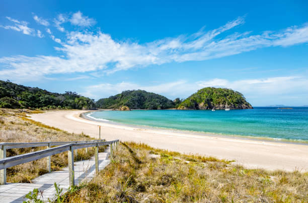 Getting Your Business Ready for Summer - Without the Stress