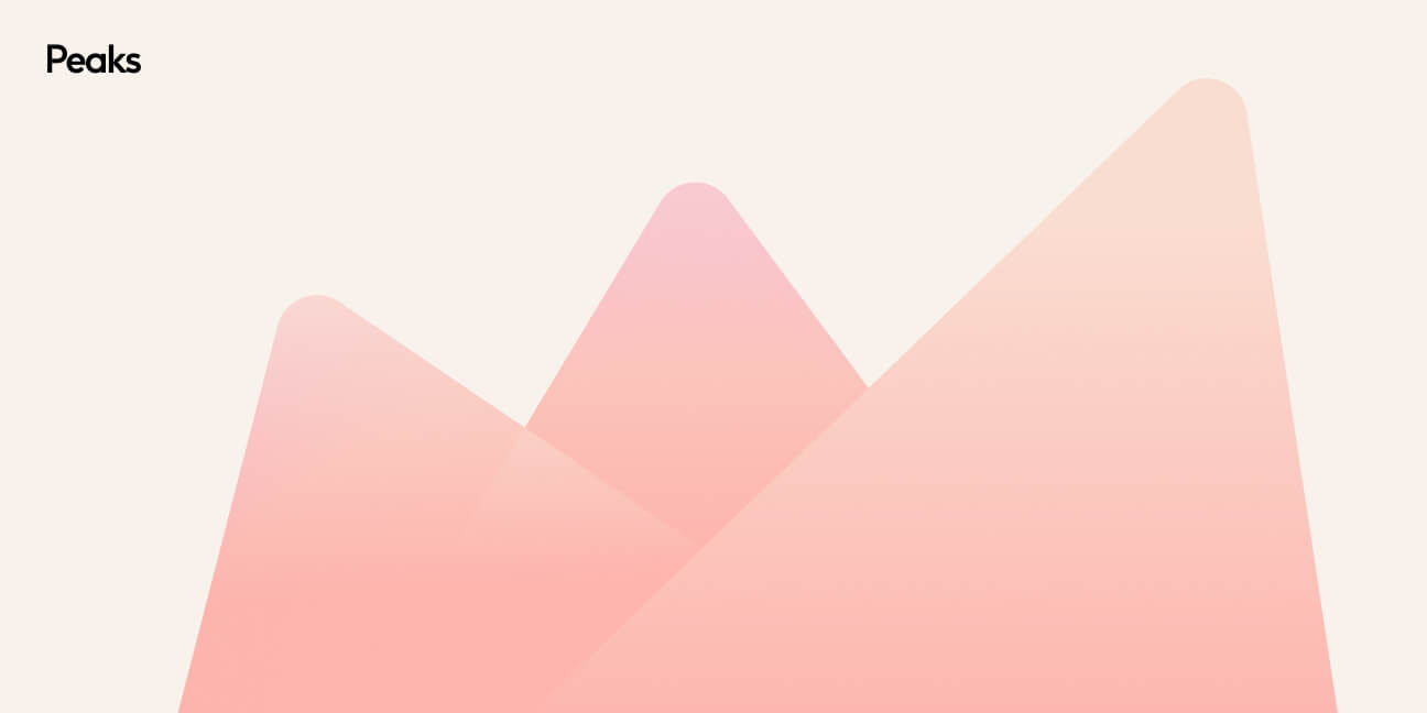 ProfitPeak mascot shown atop a peak, illustrating the brand 'guide through the fog' concept