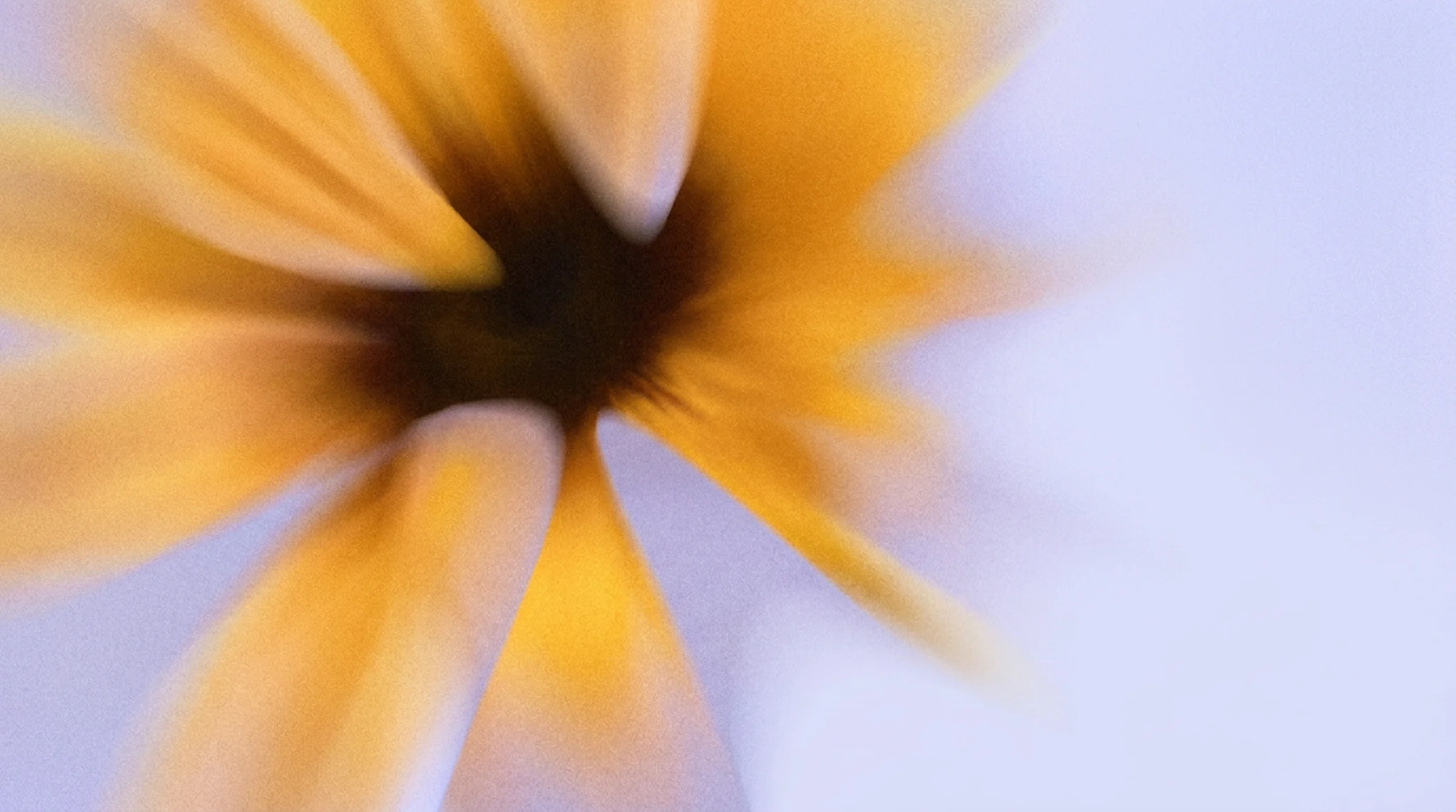 What Does a UX Agency Actually Do? (And How to Choose the Right One)