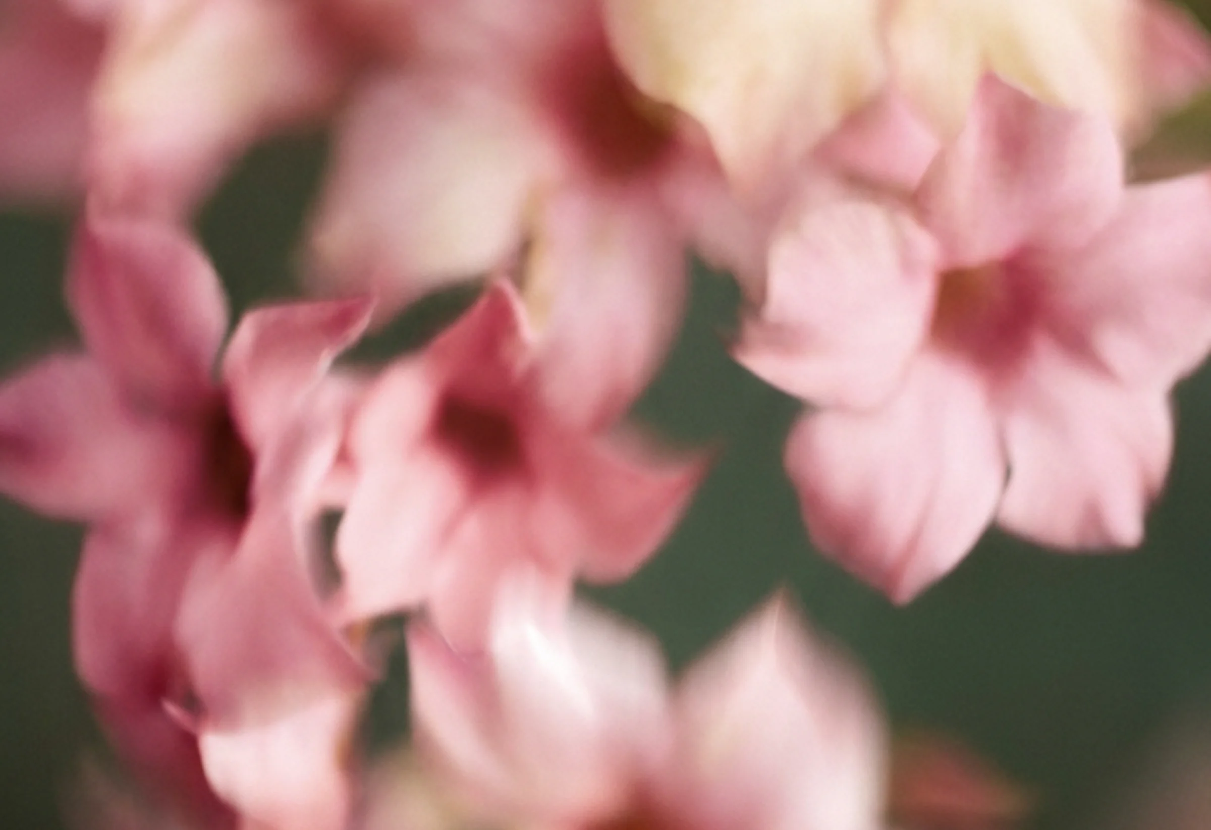 What Does a Branding Agency Actually Do? (And Do You Need One?)