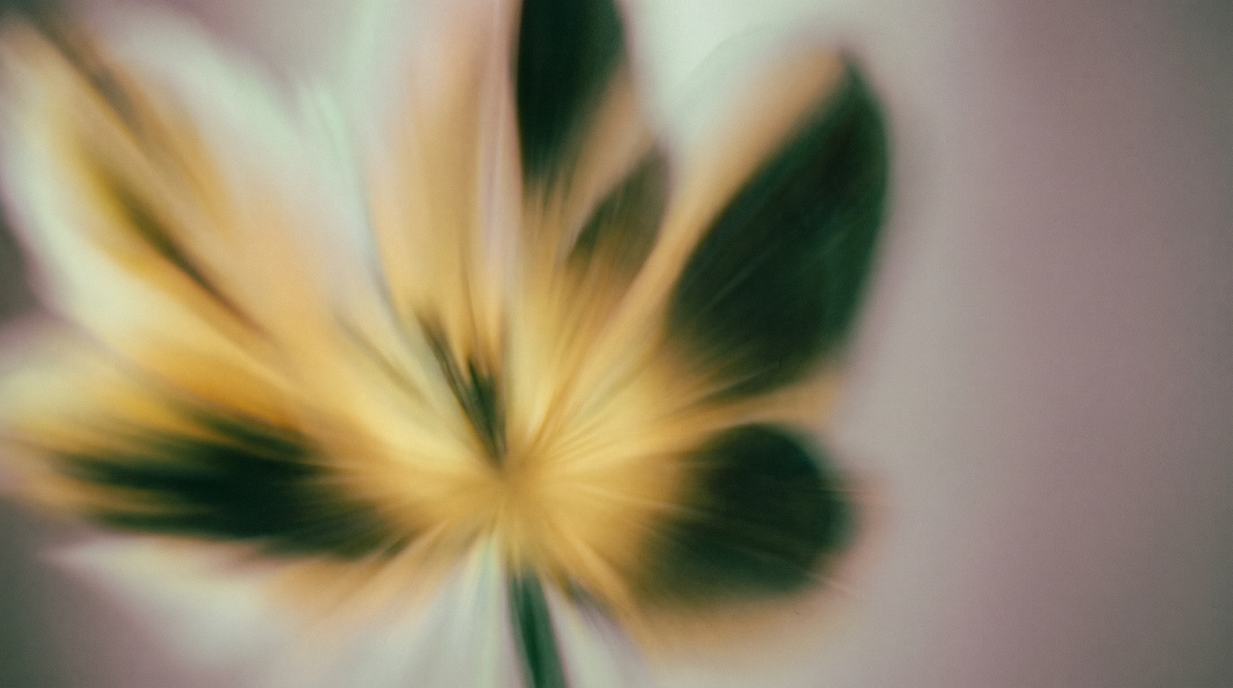 The ROI of Brand Strategy: How to Make the Business Case