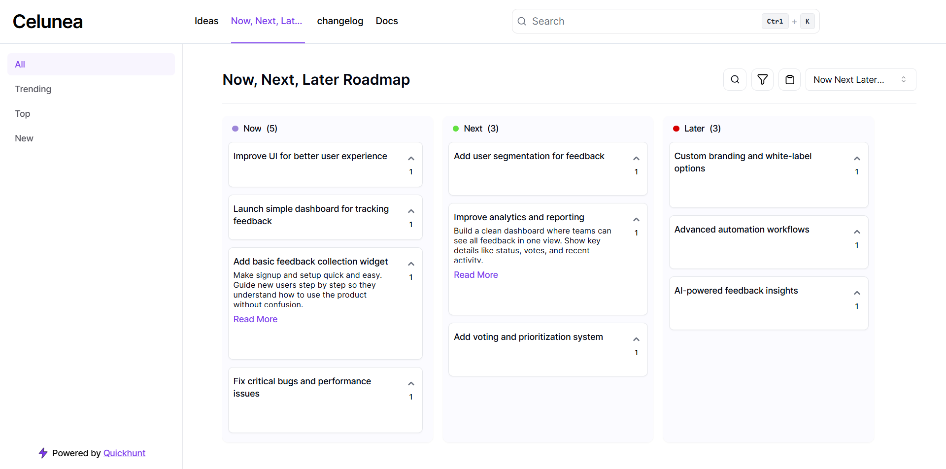 Now Next Later Roadmap Example