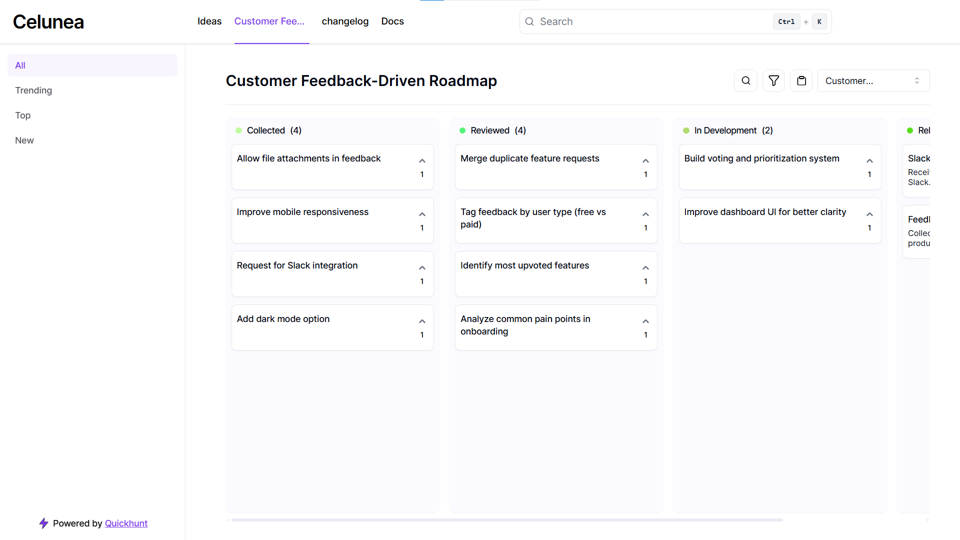 Customer Feedback-Driven Roadmap Example